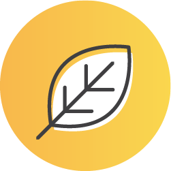 Designed For Simplicity